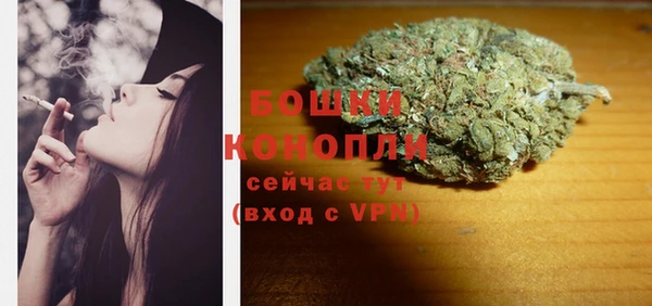 PSILOCYBIN Грязовец